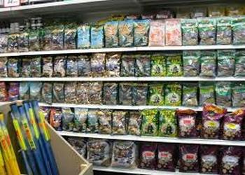 Illustration des différents types d'amorces carpe