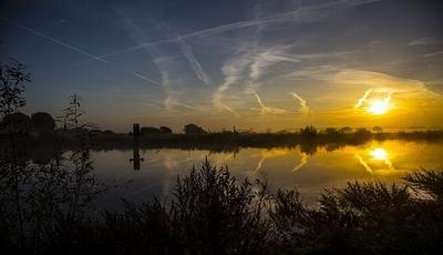 Étang avec végétation aquatique, habitat typique pour la carpe amour blanc