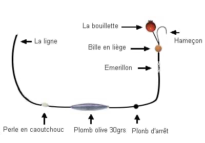Schéma détaillé d'un montage carpe au cheveu pour bouillette