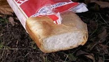 Pêche de la carpe en surface avec du pain