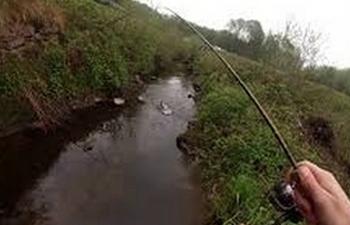 Pêcheur pratiquant la pêche à la cuillère pour le brochet