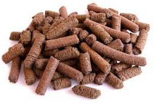 Différentes tailles et types de pellets pour la carpe